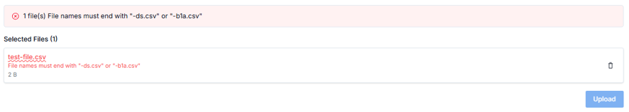 Screenshot: b1a-udsv3-05-invalid-suffix-must-end-with-b1a-csv.png.
