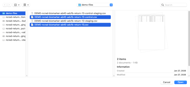 Screenshot: ncrad-returns-13-upload-release-file.png
