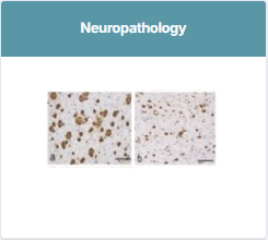 Neuropathology option on the Submit Data page.