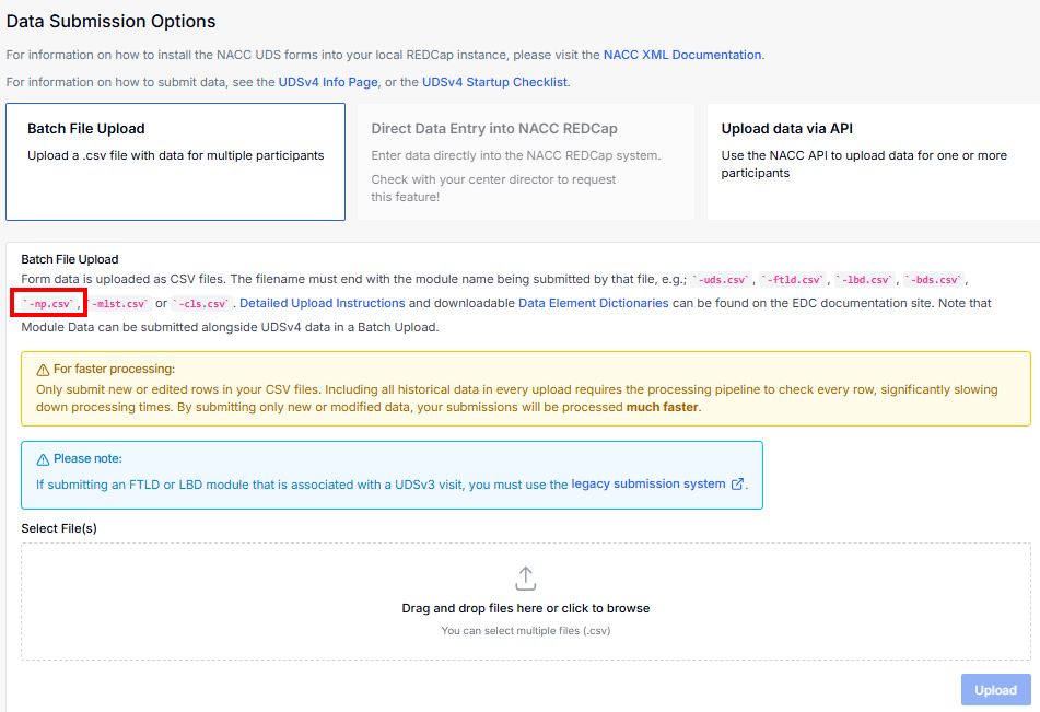 Batch File Upload area on the form submission page.