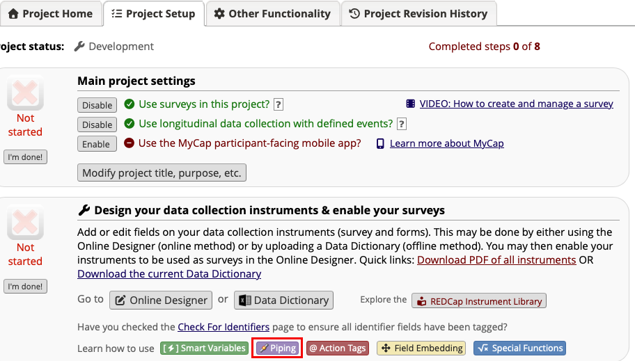 Project Setup page with red box around the purple Piping button