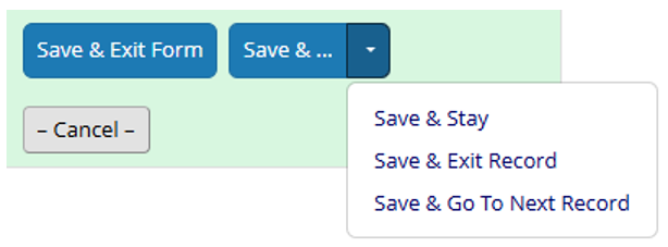 Save and Exit Form button in REDCap