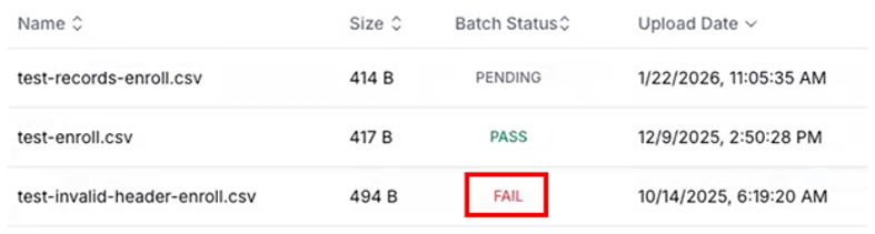 Batch upload status showing failure