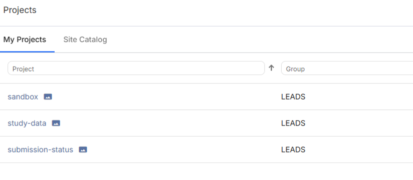 Flywheel project list showing LEADS group projects